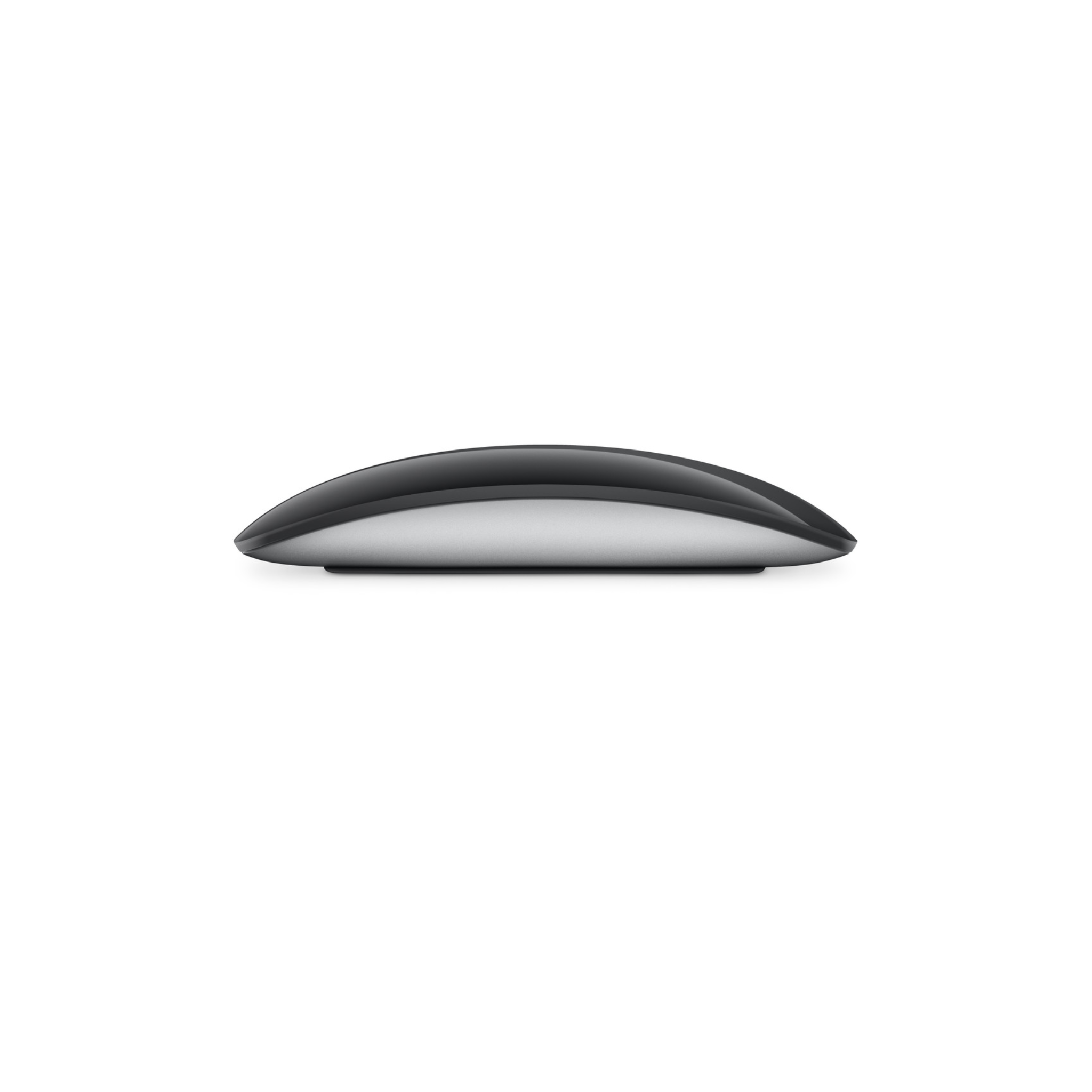 Magic Mouse - Multi-Touch Surface