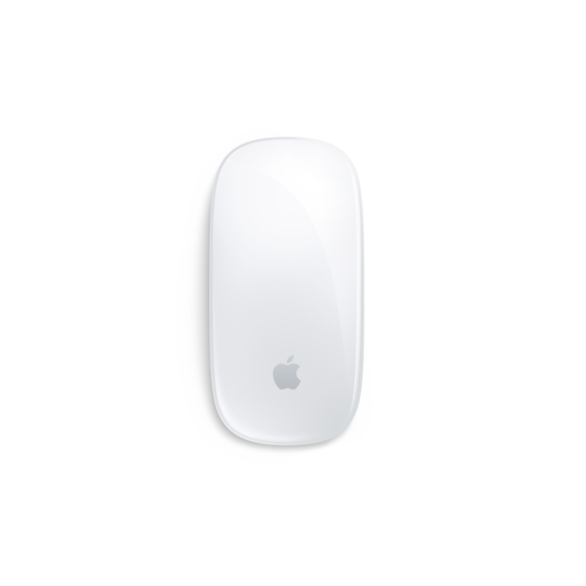 Magic Mouse - Multi-Touch Surface