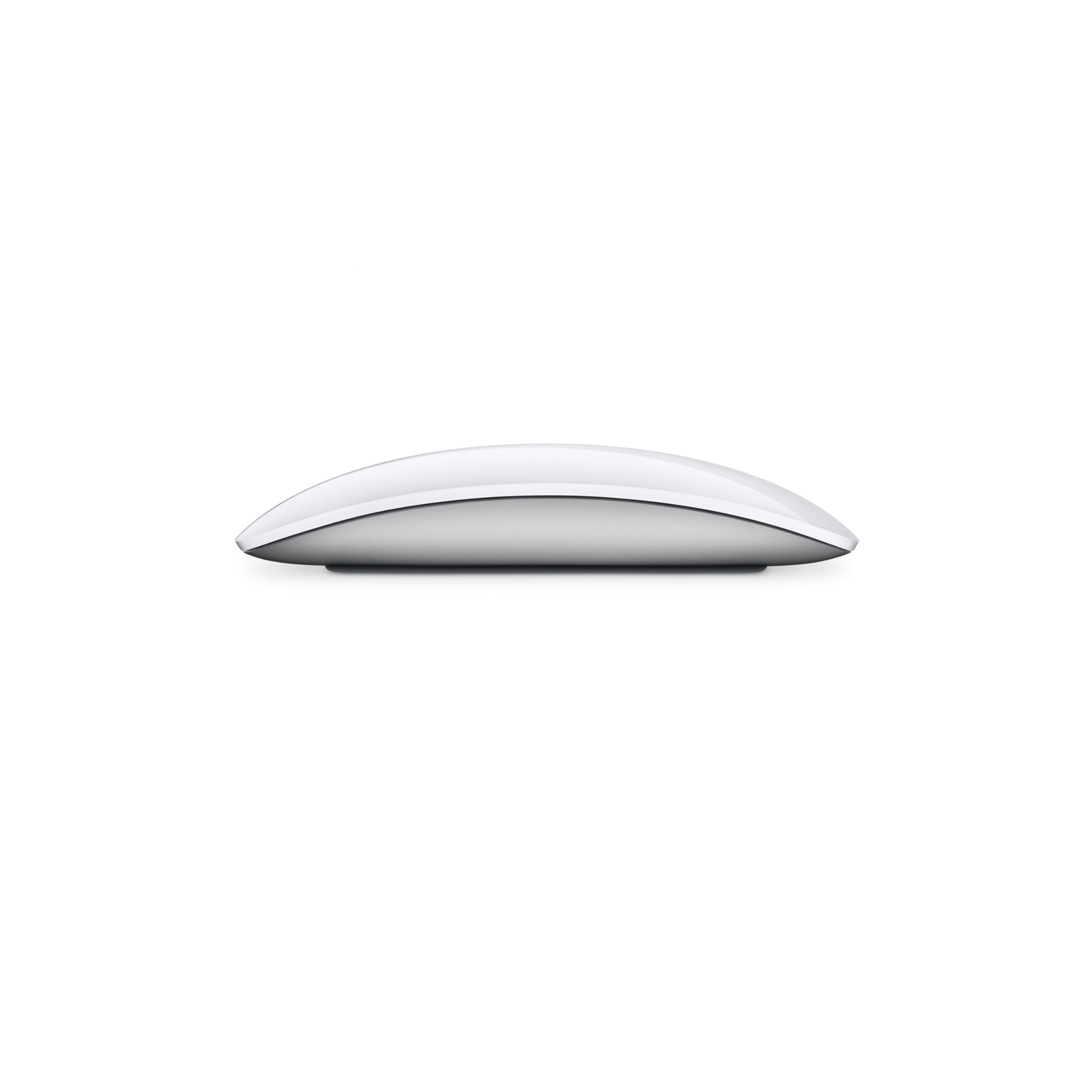 Magic Mouse - Multi-Touch Surface